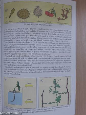 Biológia 9.