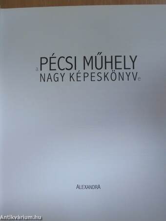 A Pécsi Műhely nagy képeskönyve - CD-vel