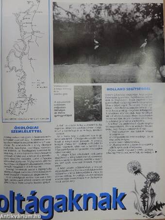 Természetbúvár 1991/5.