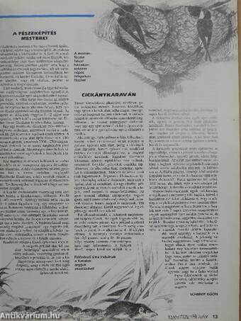 Természetbúvár 1992/2.