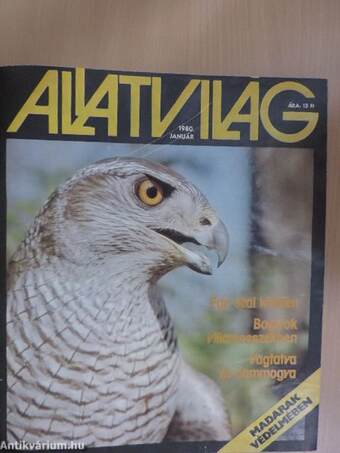 Állatvilág 1980-1981. január-december