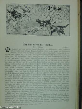 Deutsche Jäger-Zeitung 1913/1914. (nem teljes évfolyam) (gótbetűs)