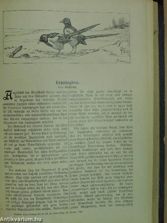 Deutsche Jäger-Zeitung 1913/1914. (nem teljes évfolyam) (gótbetűs)