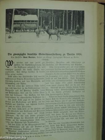 Deutsche Jäger-Zeitung 1913/1914. (nem teljes évfolyam) (gótbetűs)