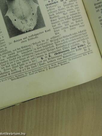 Deutsche Jäger-Zeitung 1913/1914. (nem teljes évfolyam) (gótbetűs)