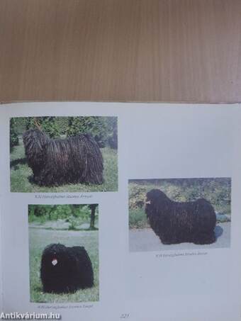 A puli története