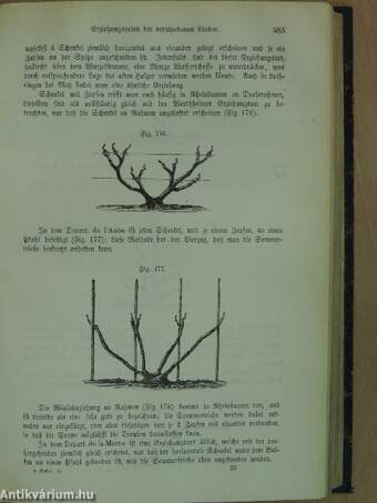 Handbuch des Weinbaues und der Kellerwirthschaft I. (gótbetűs)