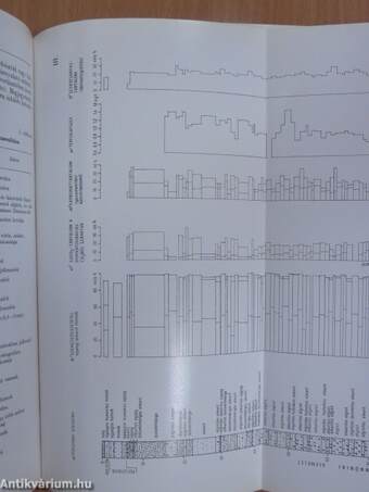 A Magyar Állami Földtani Intézet évi jelentése az 1974. évről