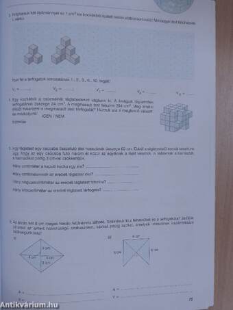 Sokszínű matematika munkafüzet 8.