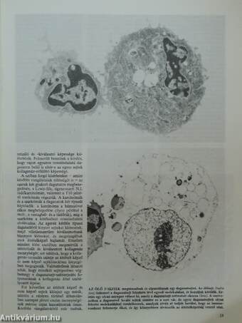 Tudomány 1989. (nem teljes évfolyam)