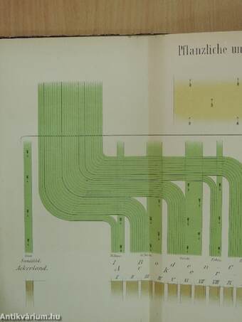 Landwirtschaftliche Betriebslehre II. (gótbetűs)