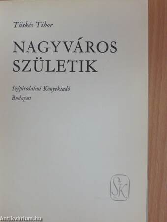 Nagyváros születik