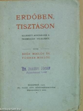 Erdőben, tisztáson