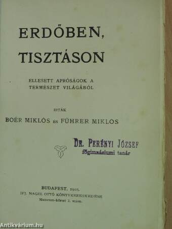 Erdőben, tisztáson