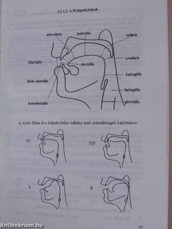 Az arab írás I.