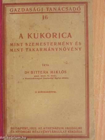 A kukorica mint szemestermény és mint takarmánynövény