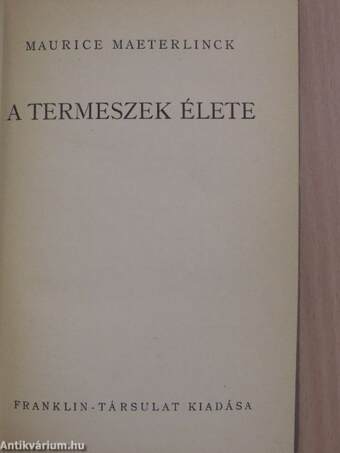 A termeszek élete