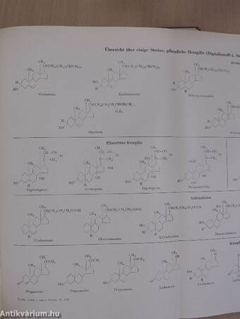 Lehrbuch der Organischen Chemie