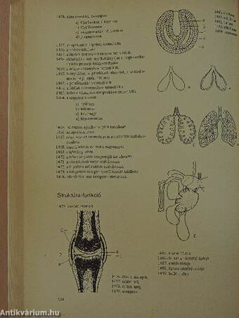 Biológiai korrepetitor