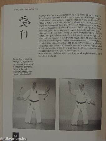 Az abszolút karate