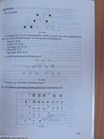 Repeta-biológia 2.