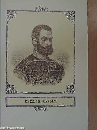 Az 1848-1849-iki Magyar Szabadságharcz vértanuinak emlékkönyve