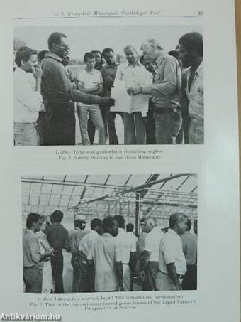 A Magyar Állami Földtani Intézet évi jelentése az 1979. évről