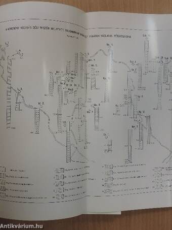 A Magyar Állami Földtani Intézet évi jelentése az 1973. évről