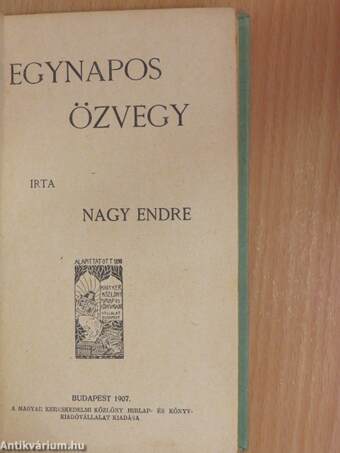 Egynapos özvegy