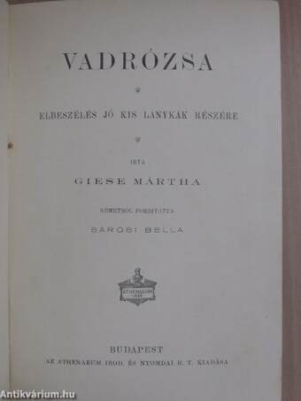 Vadrózsa