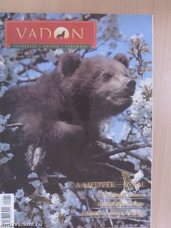 Vadon 2004/1-6.