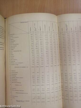 Statisztikai évkönyv 1960