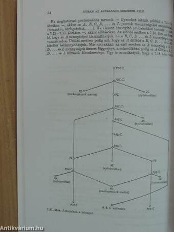 A problémamegoldás iskolája II. (töredék)