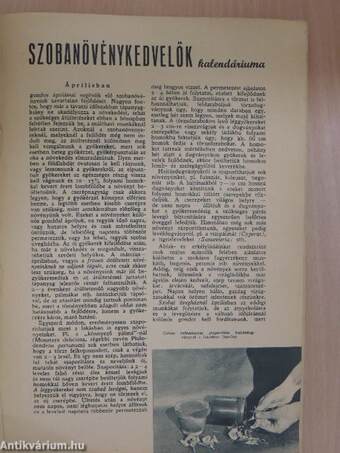 Akvárium és Terrárium 1959. április-június