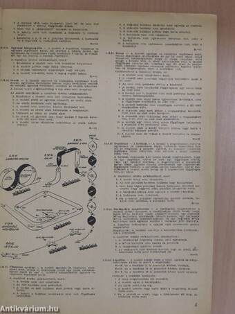 Modellezés 1970. február