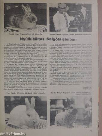 Kistenyésztők Lapja 1986. (nem teljes évfolyam)