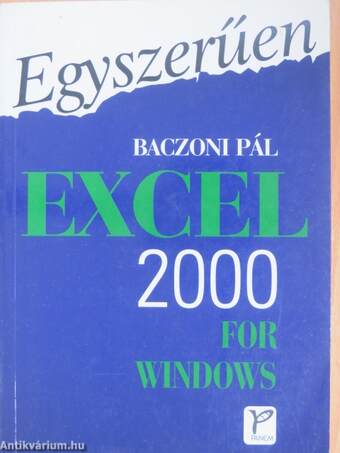 Excel 2000 for Windows