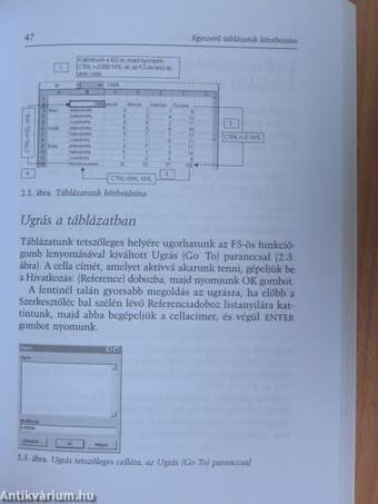 Excel 2000 for Windows