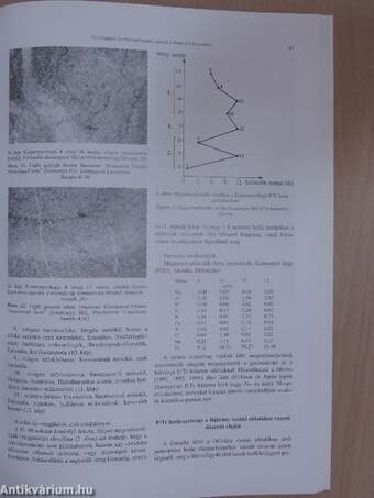 A Magyar Állami Földtani Intézet Évi Jelentése 2000-2001