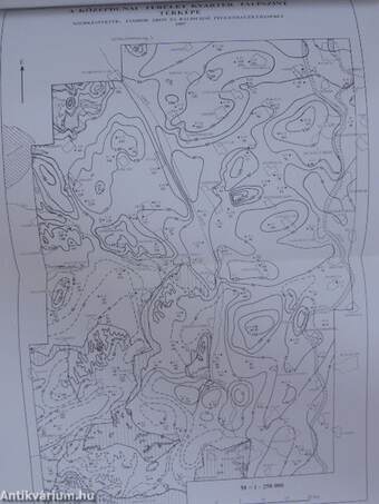 A Magyar Állami Földtani Intézet évi jelentése 1997-1998/I-II.