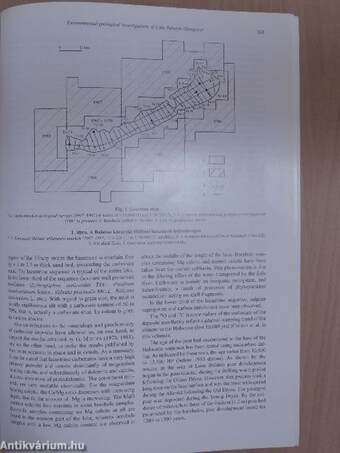 A Magyar Állami Földtani Intézet évi jelentése 1992-1993/II.