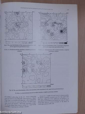 A Magyar Állami Földtani Intézet évi jelentése 1992-1993/II.