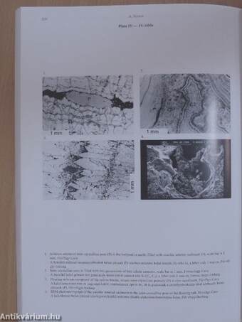 A Magyar Állami Földtani Intézet évi jelentése 1994-1995/I-II.