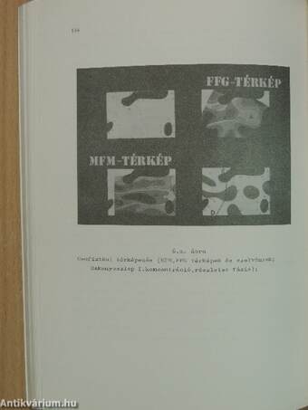 A Magyar Tudományos Akadémia Föld- és Bányászati Tudományok Osztálya 1982. évi közgyűléséhez kapcsolódó tudományos ülés előadásai