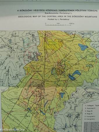 A Magyar Állami Földtani Intézet évi jelentése az 1981. évről