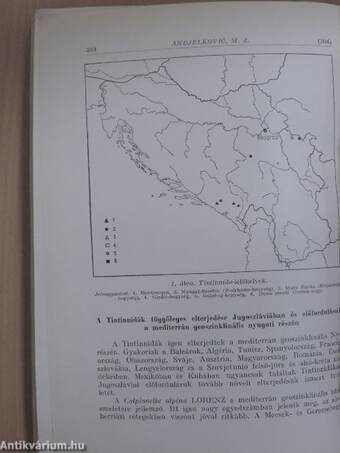 A Magyar Állami Földtani Intézet Évkönyve 1961/2.