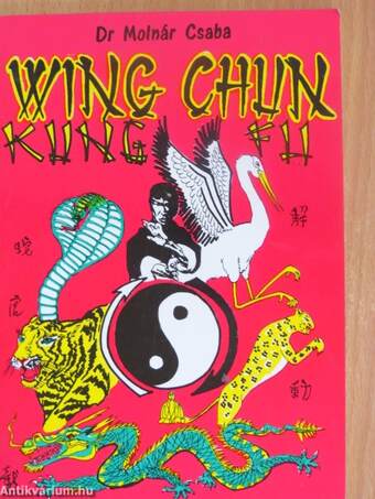 Wing Chun kung fu