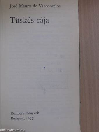 Tüskés rája