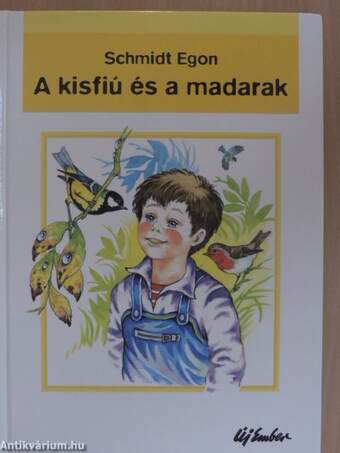 A kisfiú és a madarak