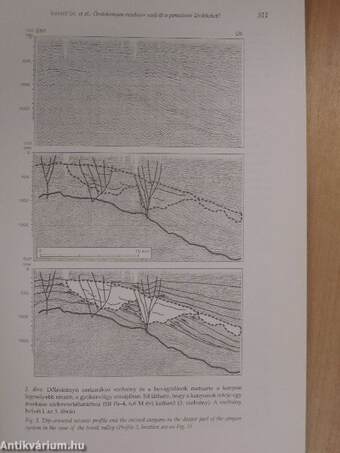 Földtani Közlöny 2007/3.